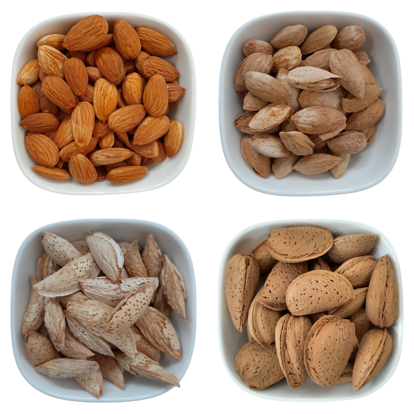 Shelled Almonds – Natural Organic Premium-quality + Free sample!