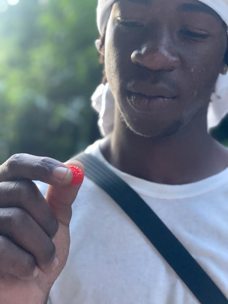 Red Raspberry Leaf Loose Leaf Tea Cut — 4 oz