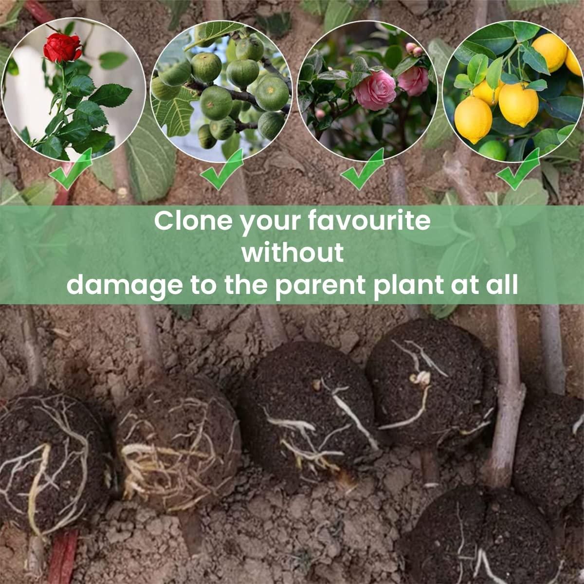 Rooting Balls  Pack of 5 with Pot Mix Combo