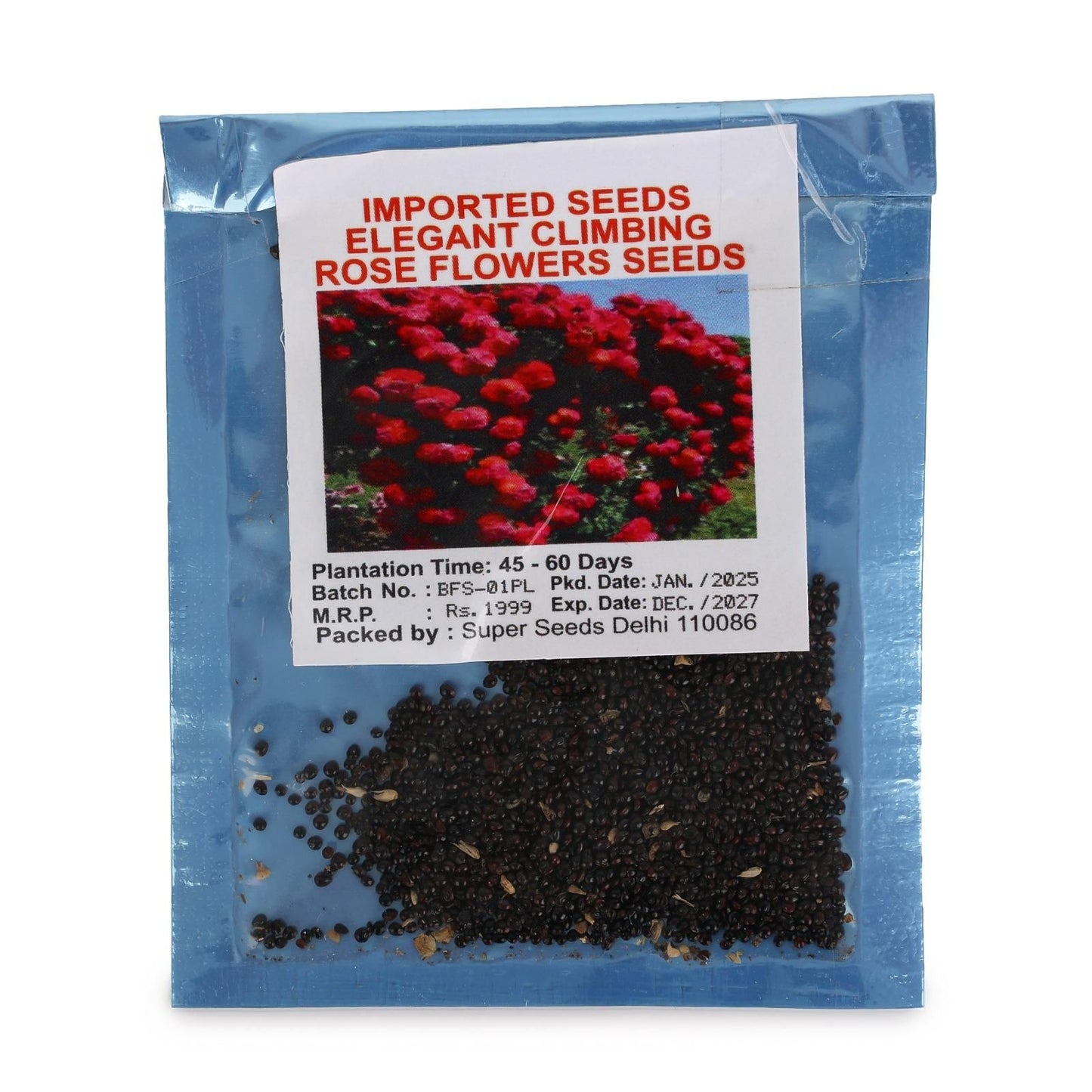 Elegant Climbing Rose Flower Seeds