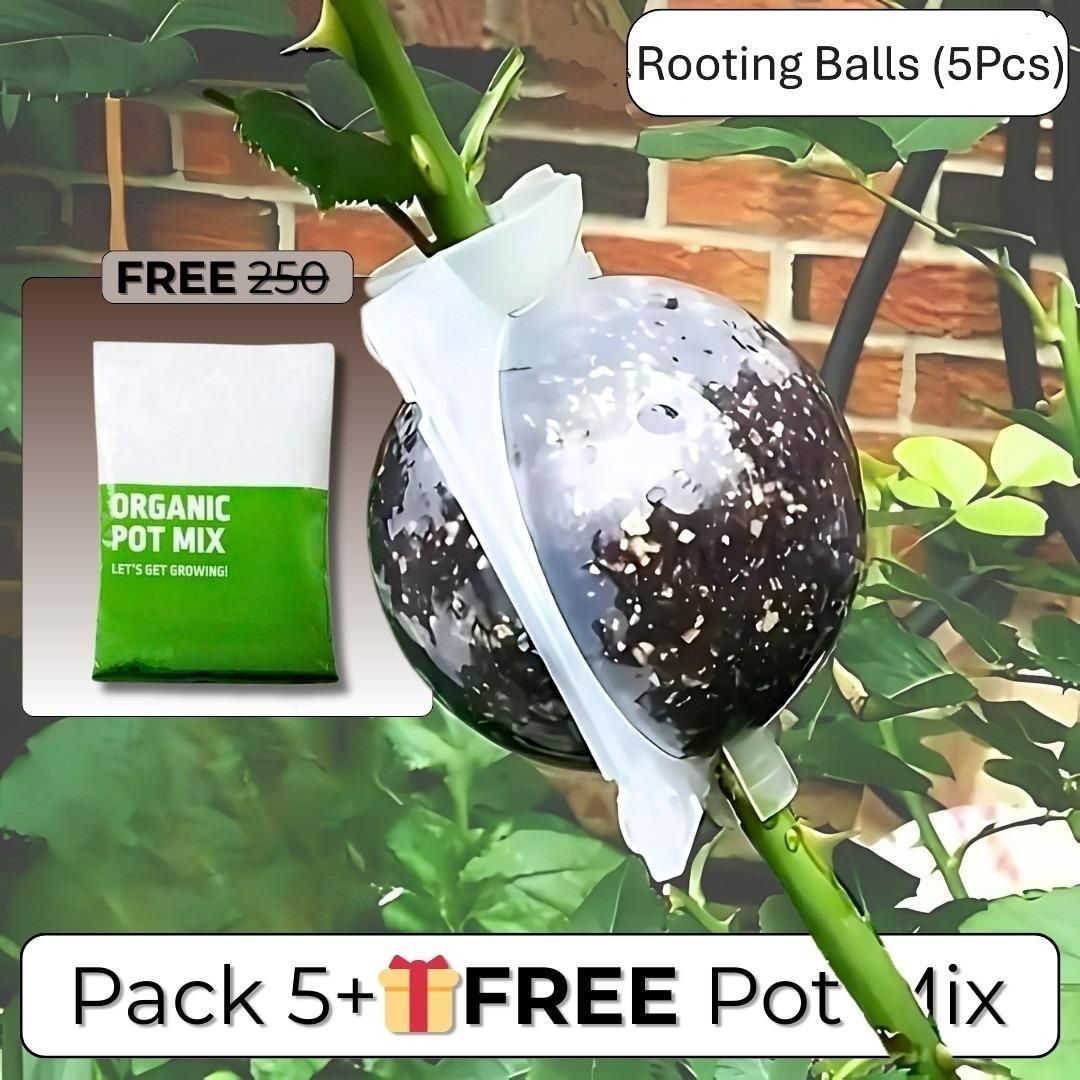 Rooting Balls  Pack of 5 with Pot Mix Combo