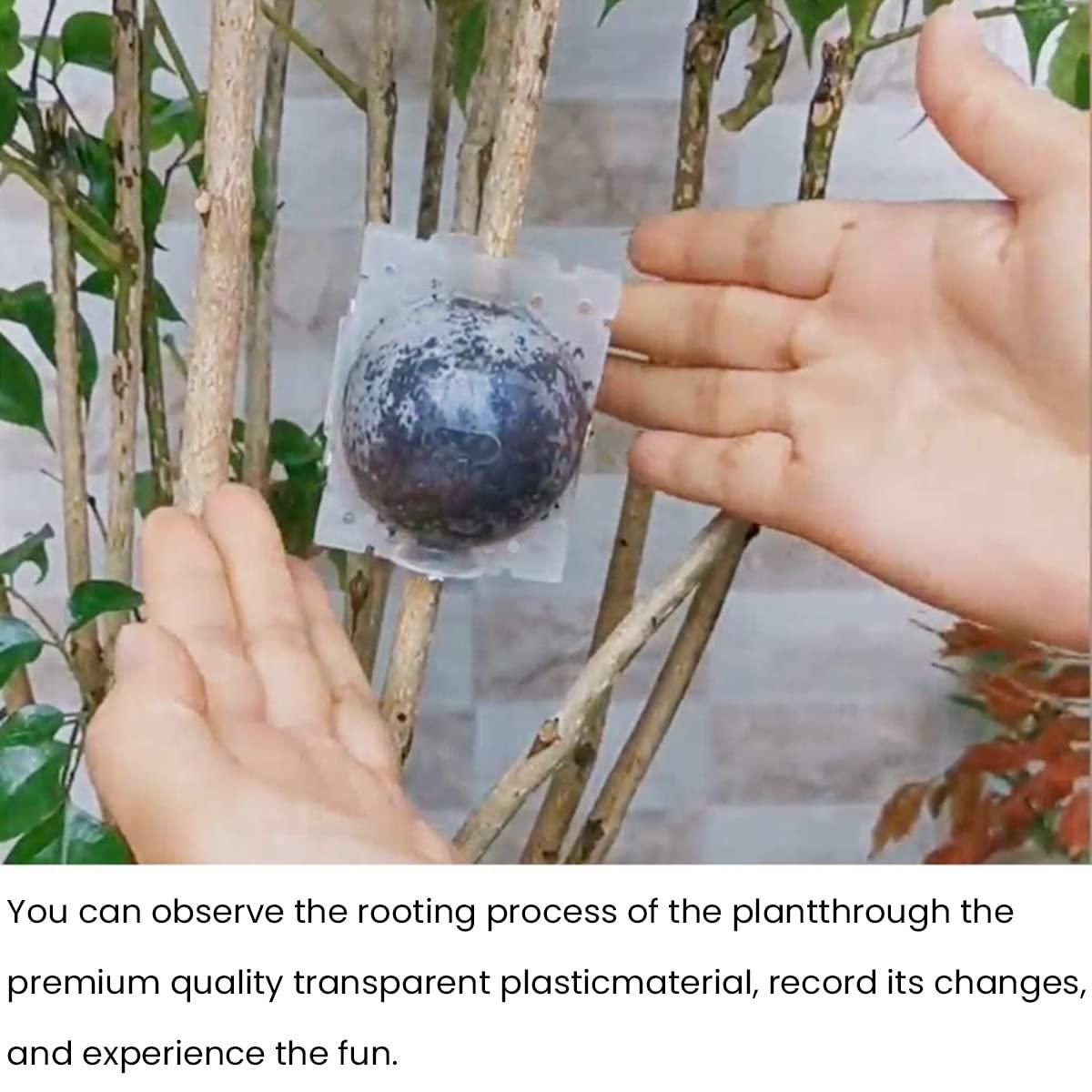 Rooting Balls  Pack of 5 with Pot Mix Combo