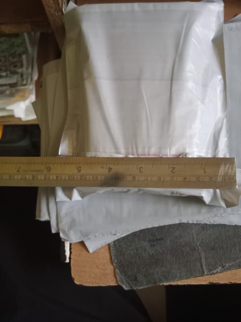 Rare Milk Strawberry Seeds ( Pack of 20) + Plant Growth Serum Free