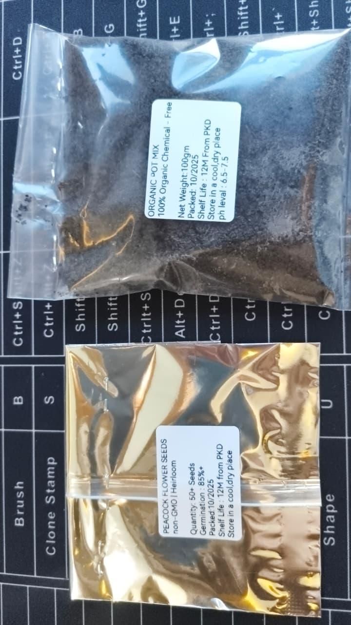 Vibrant Peacock Flower Seeds Pack of 1